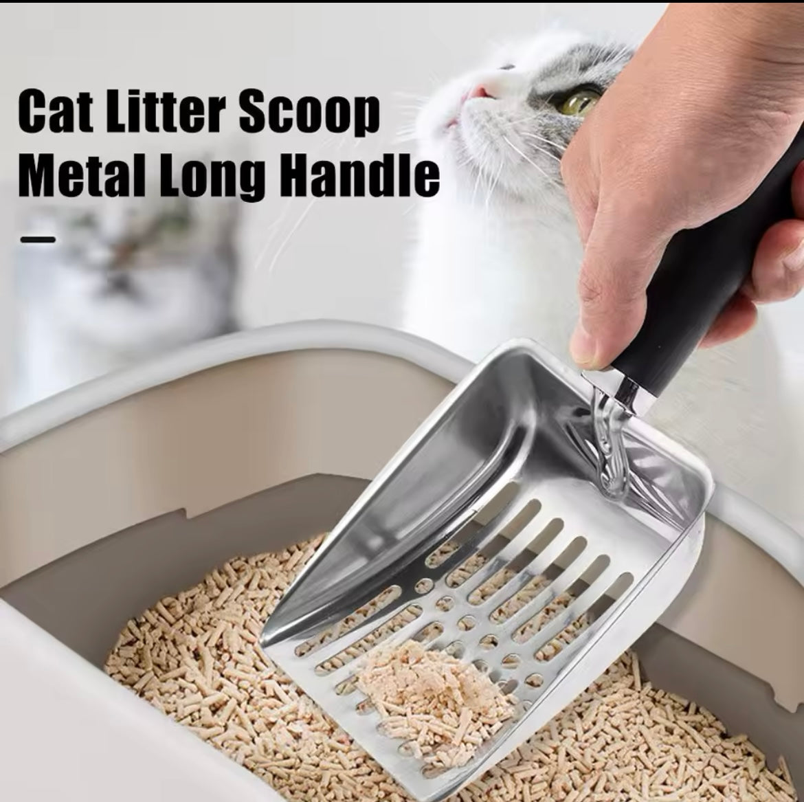 Cuillère à litière, en acier inoxydable